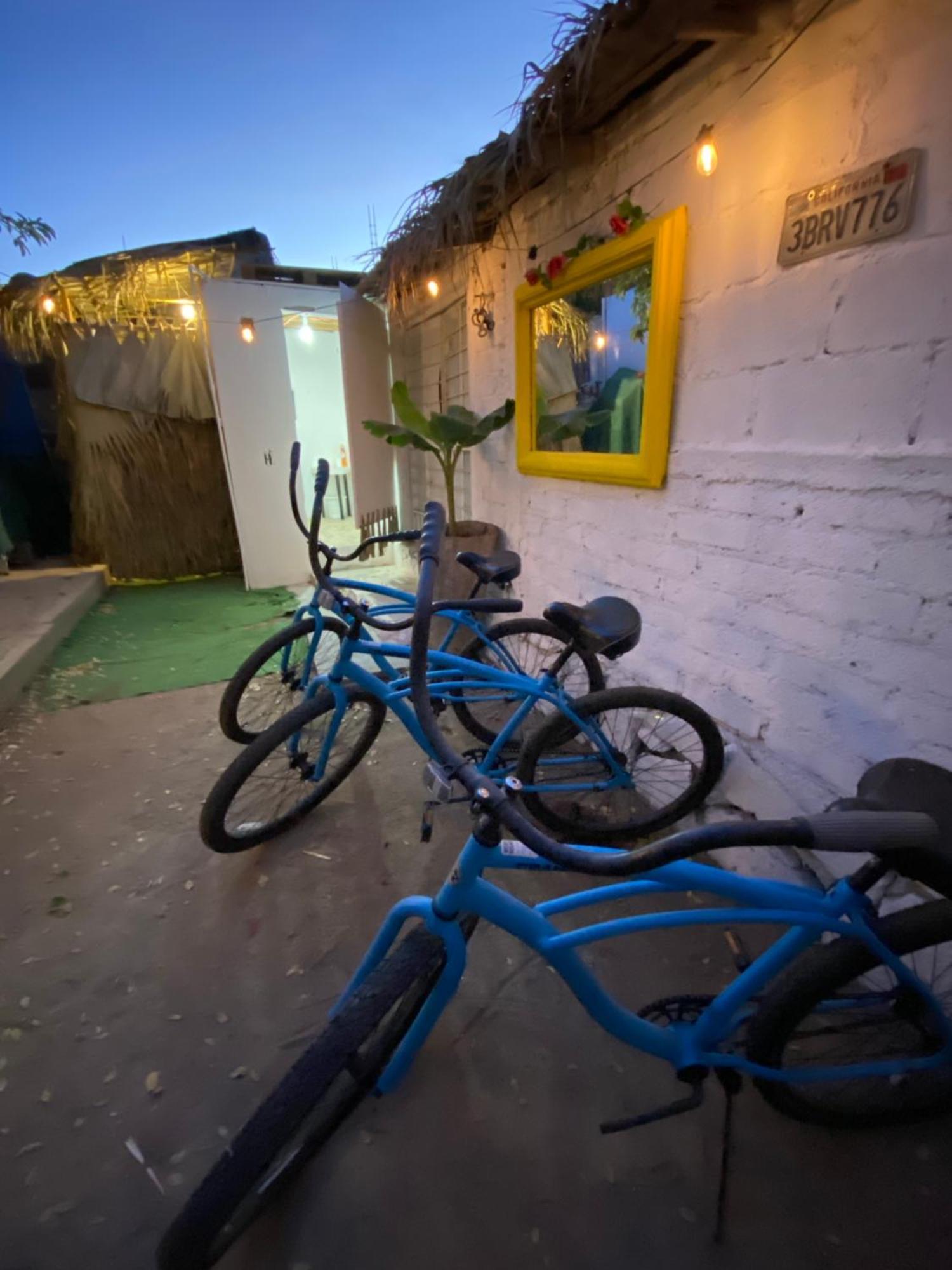 Aloha Surf Hostel San Jose del Cabo Exterior photo
