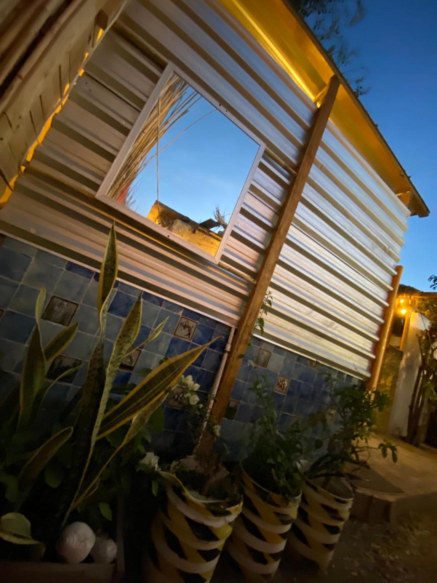 Aloha Surf Hostel San Jose del Cabo Exterior photo